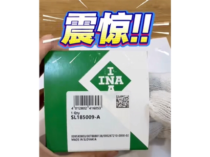 INA SL185009 长什么样