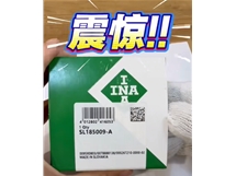 INA SL185009 长什么样
